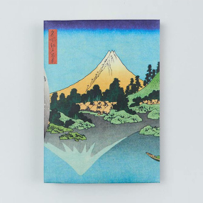 Обложка для паспорта из тайвека New Wallet Fuji
