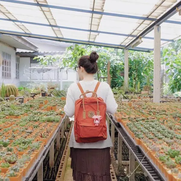 Рюкзак Fjallraven Kanken No2 Autumn Leaf (215) - фото 2