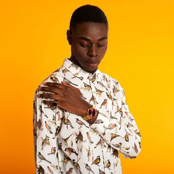 Рубашка Dedicated Varberg Autumn Birds Off-White мужская - фото 2