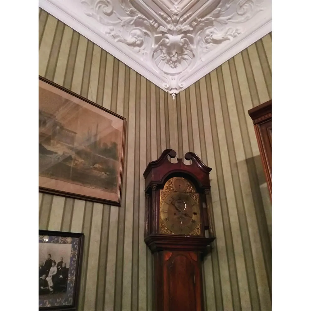 Экскурсия в квартиру семьи Бенуа, Петербург 2 декабря - фото 4