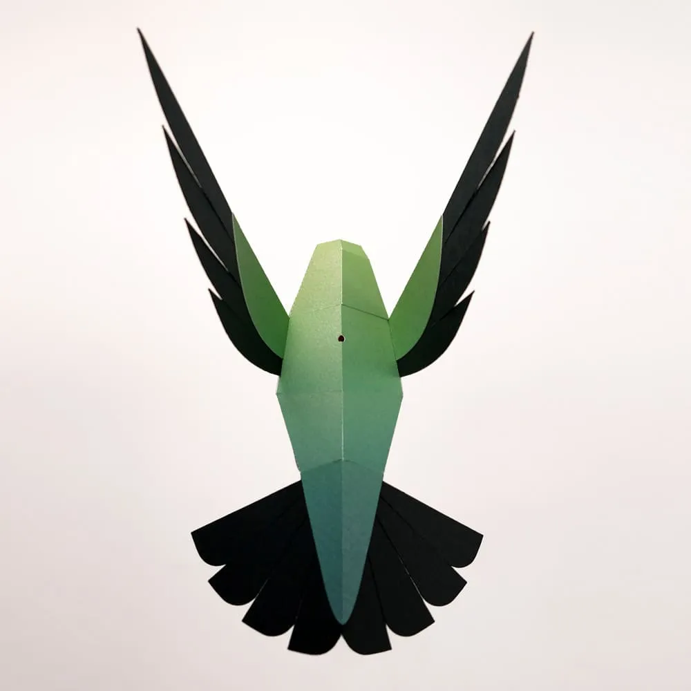 Бумажная модель для сборки Plego Art Selasphorus platycercus (колибри) - фото 5