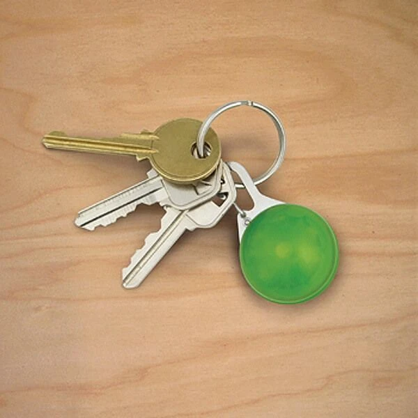 Брелок на ключи Nite Ize SPOTLIT - фото 1