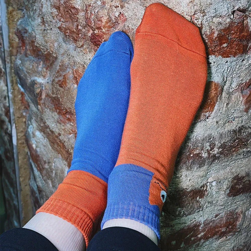 Носки Friend Function Котячьи синие 40-46 короткие - фото 2