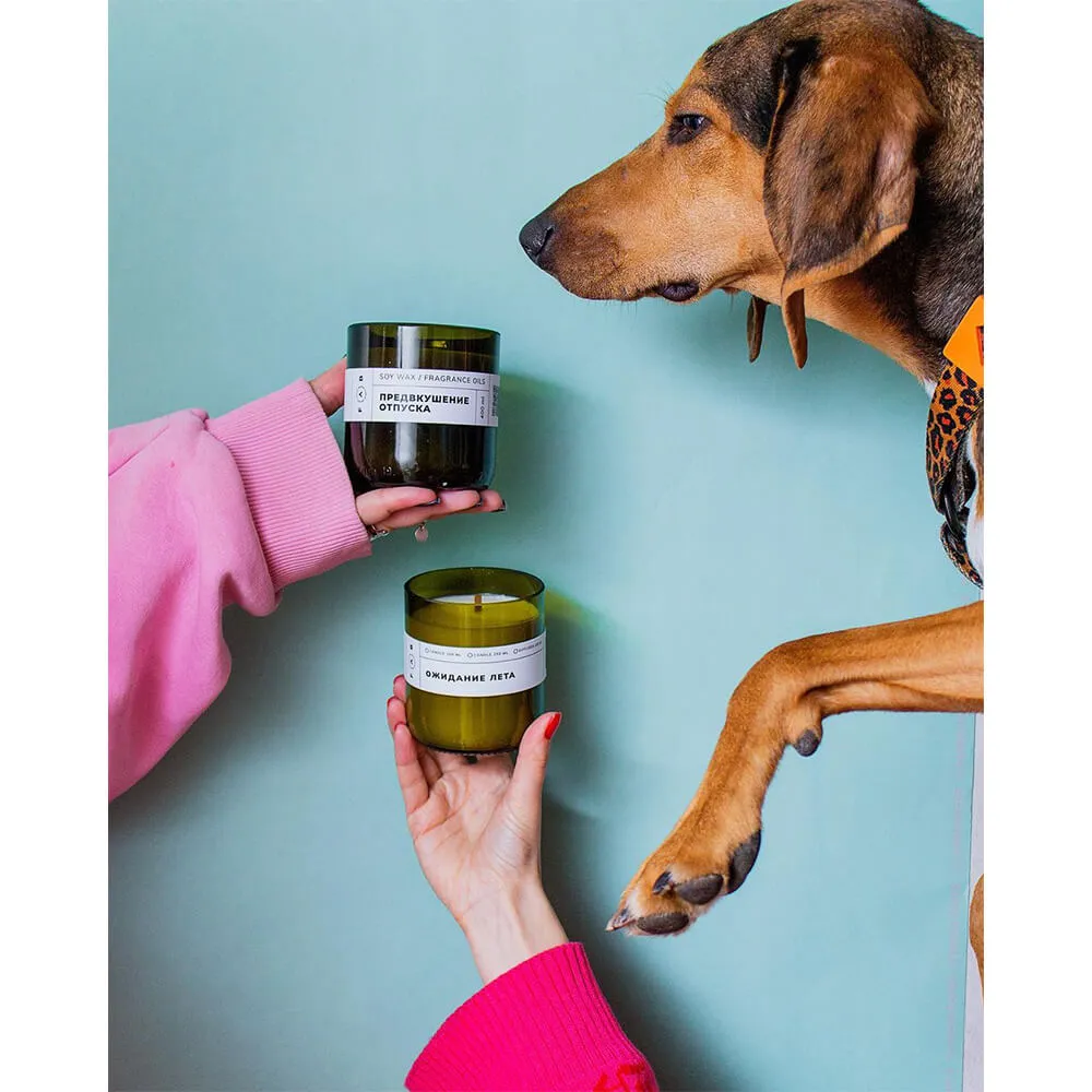 Ароматическая свеча FAB candles 250 мл Предвкушение отпуска - фото 5