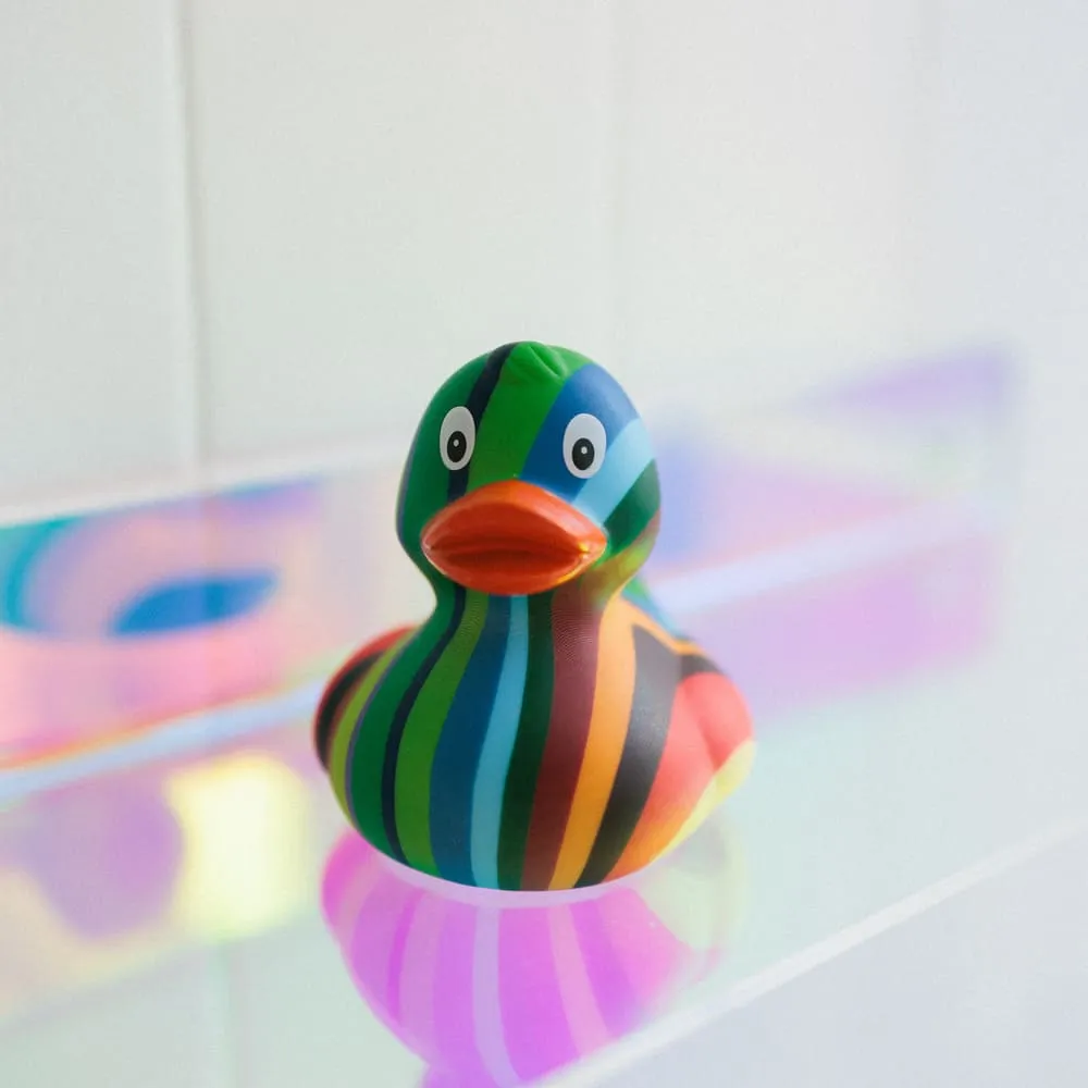 Утка разноцветная - фото 2