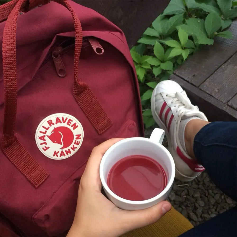 Рюкзак Fjallraven Kanken Ox Red (326) - фото 8