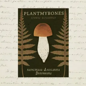 Деревянная брошка PlantMyBones Подосиновик