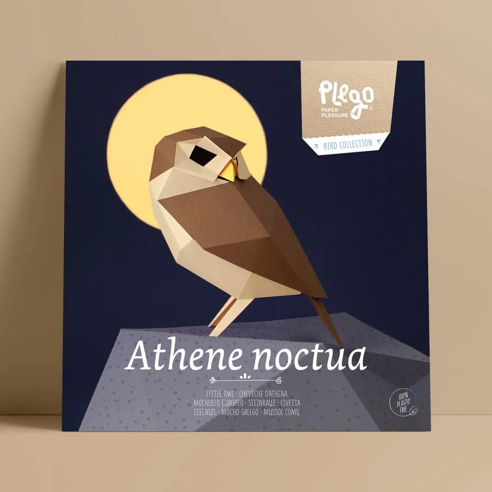 Бумажная модель для сборки Plego Art Athene noctua (сова) - фото 1