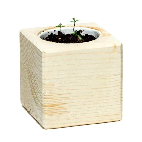 Набор для выращивания Экокуб - фото 12