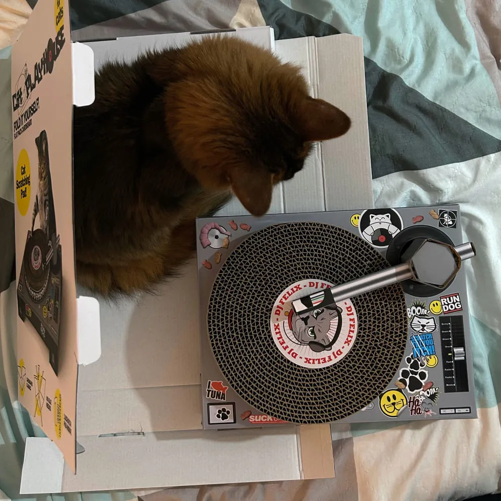 Когтеточка DJ CAT - фото 7