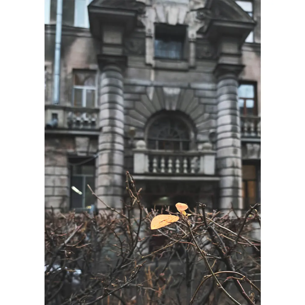 Экскурсия Спрятанный город вдоль Фонтанки, 25 ноября - фото 8