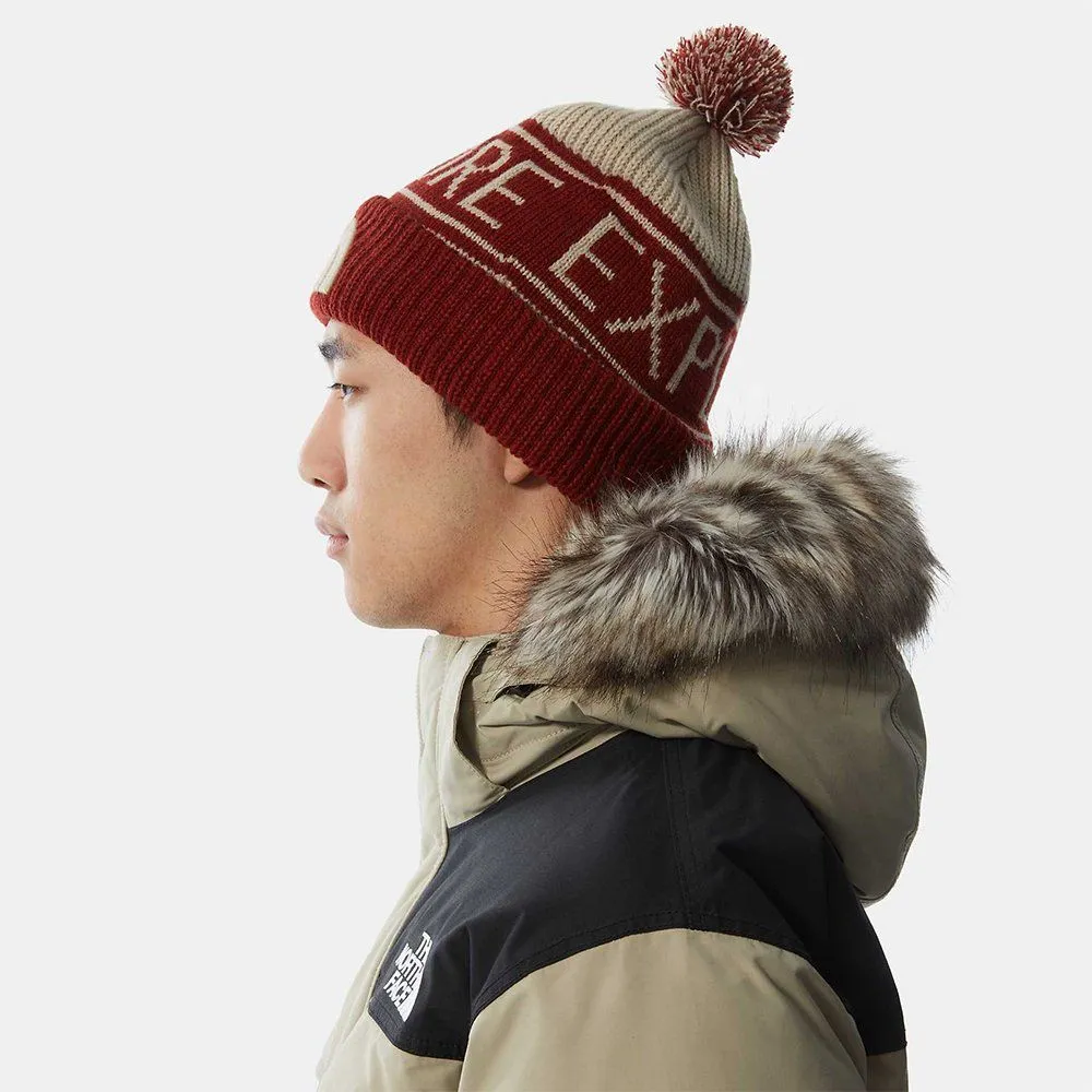 Шапка The North Face Retro Bom Beane brick house red-flax - фото 6