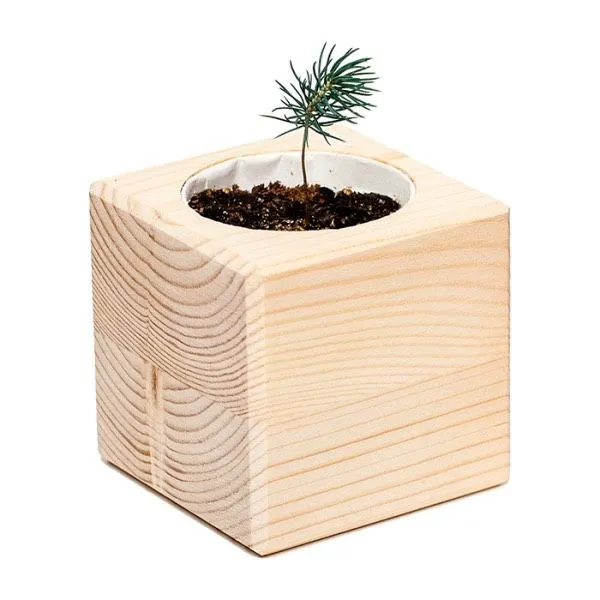 Набор для выращивания Экокуб - фото 2