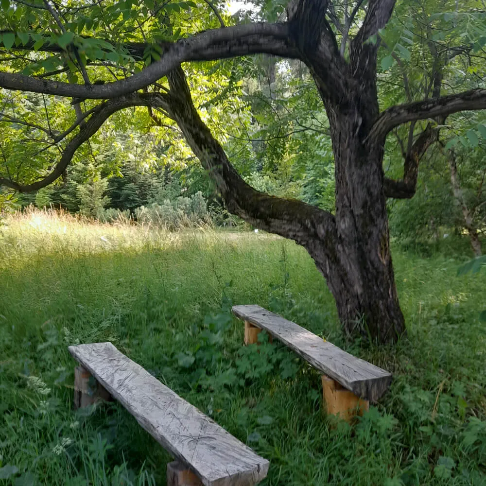 Образовательная прогулка "Тимирязевская академия и дендросад имени Р.И. Шредера", Москва 22 сентября - фото 8