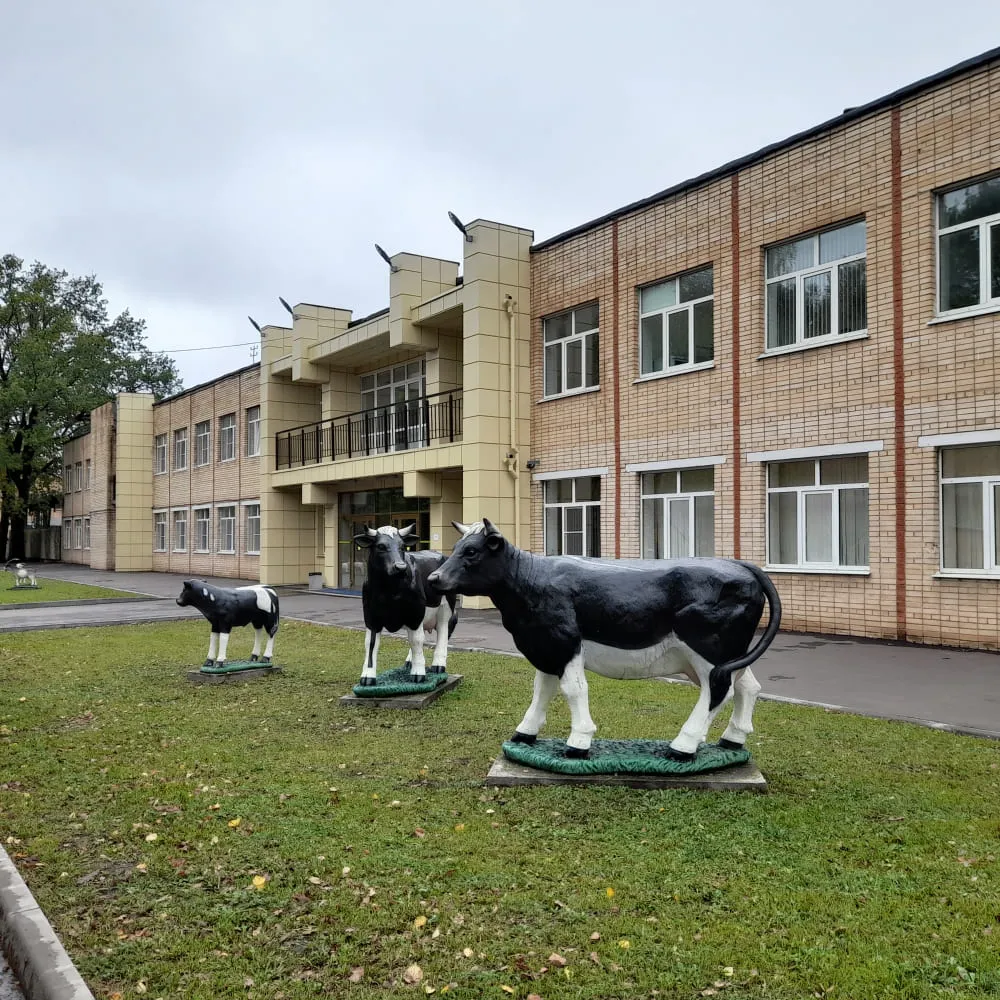 Образовательная прогулка "Тимирязевская академия и дендросад имени Р.И. Шредера", Москва 3 ноября - фото 4