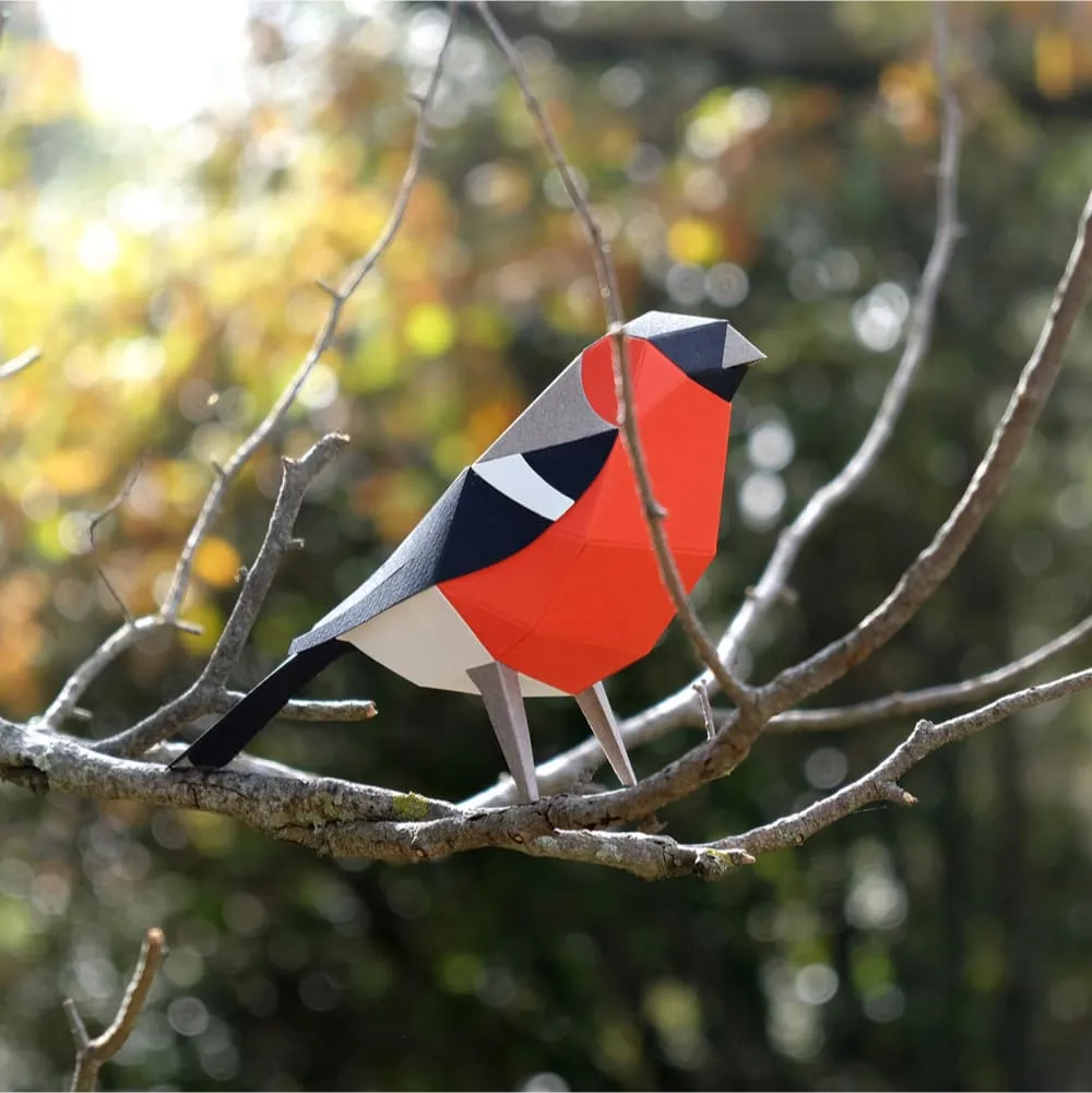 Бумажная модель для сборки Plego Art Pyrrhula pyrrhula (снегирь) - фото 2