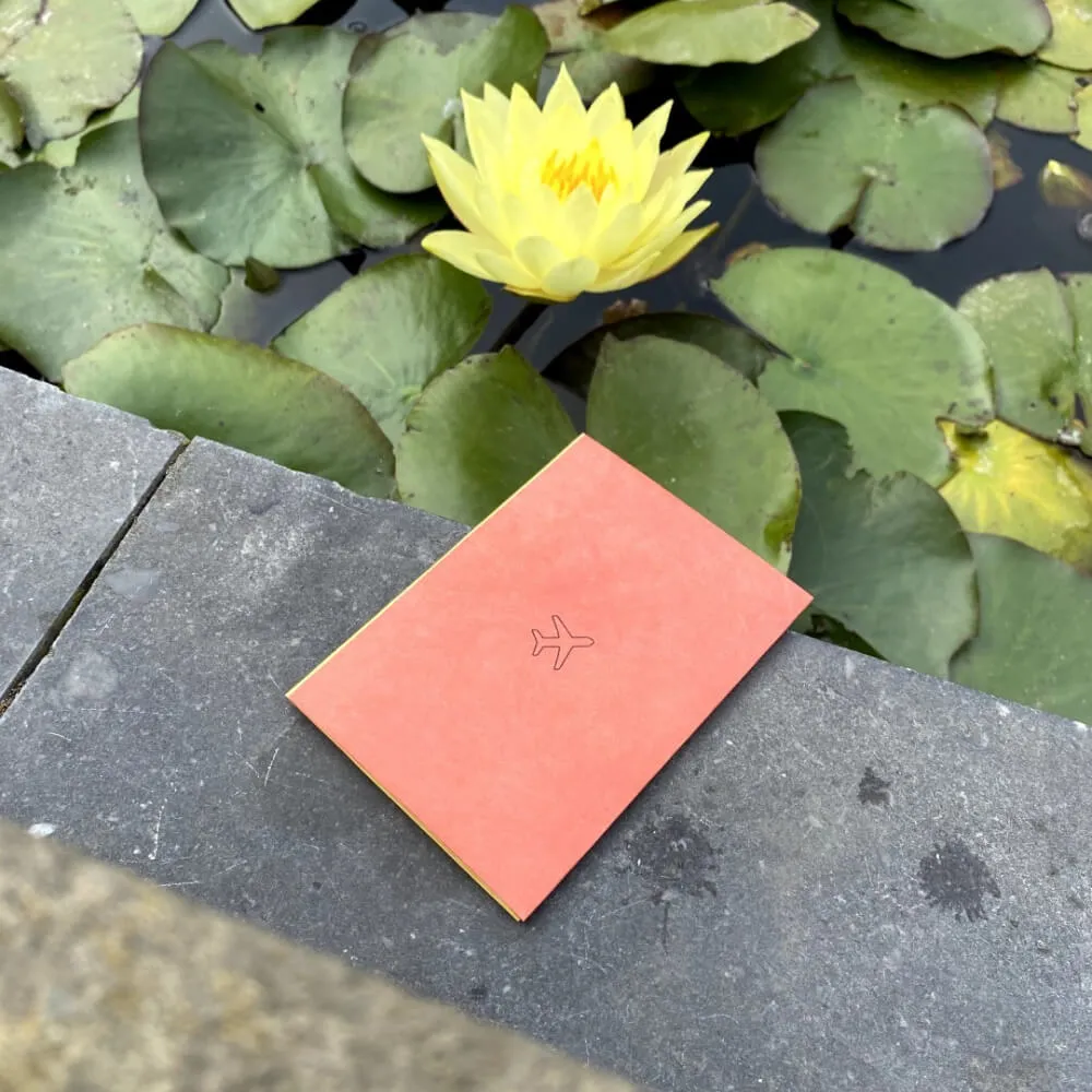 Обложка для паспорта из тайвека New Wallet Билет и самолёт - фото 15