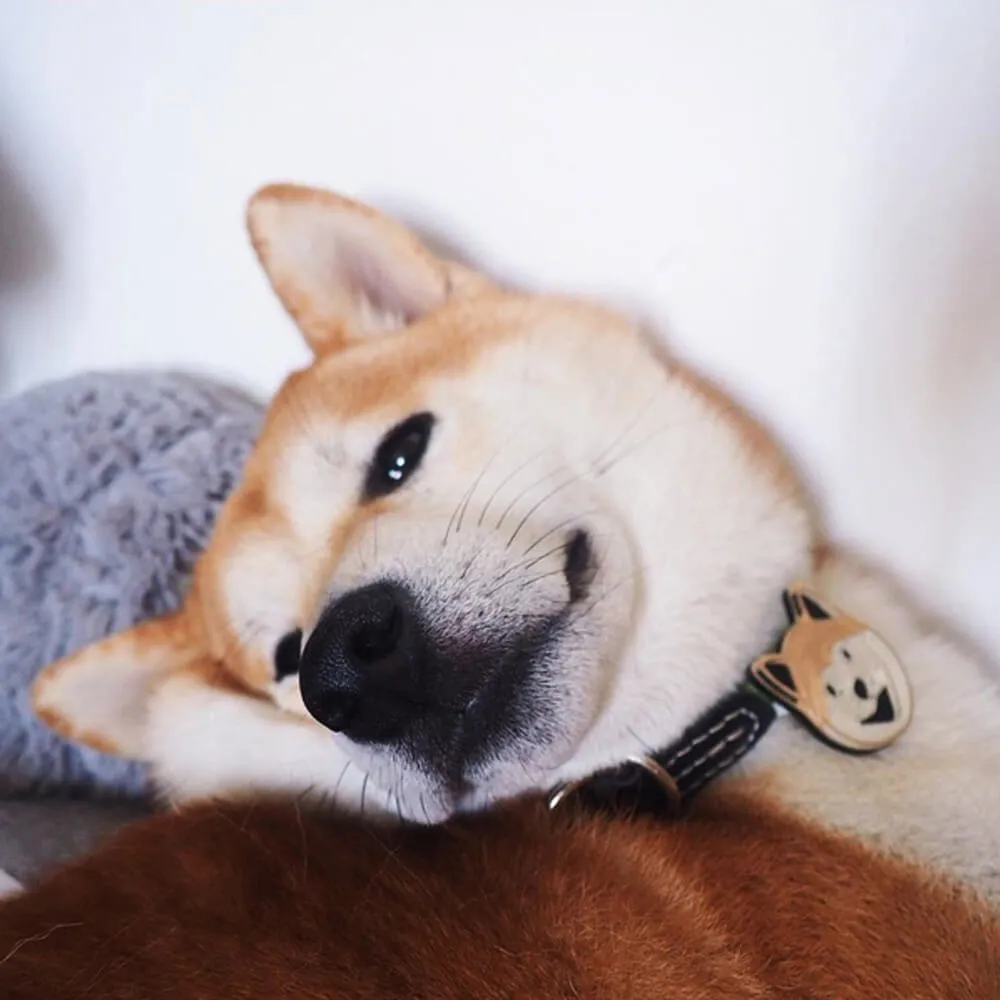 Броши Monolama - фото 8