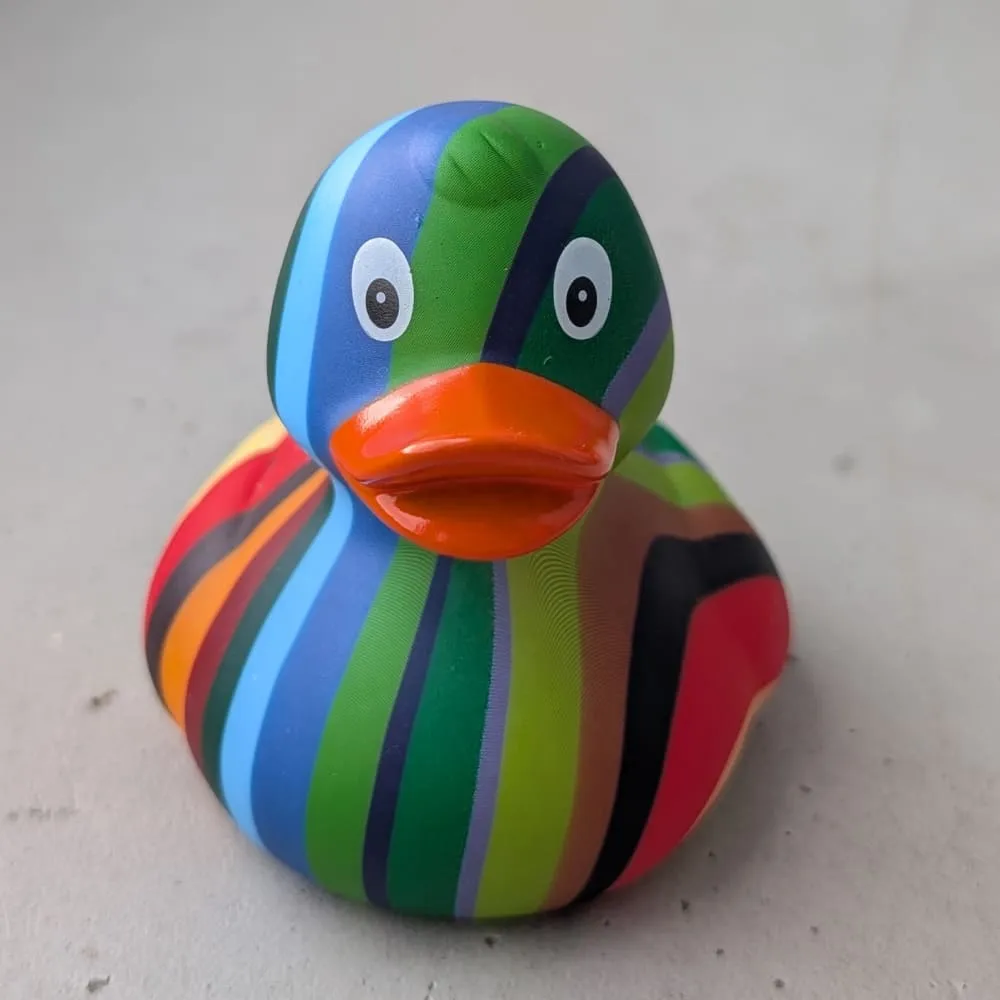 Утка разноцветная - фото 5