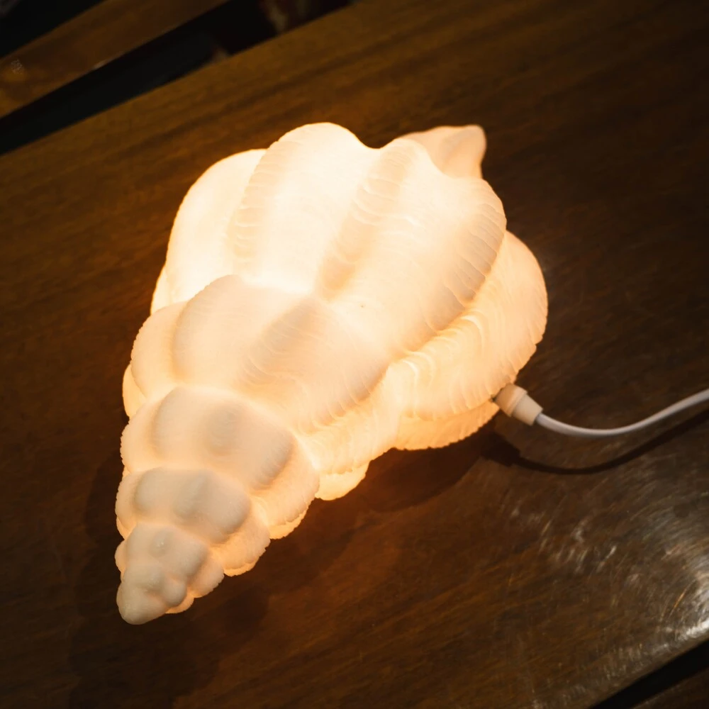 Настольная лампа в форме раковины Kersten вытянутая - фото 4