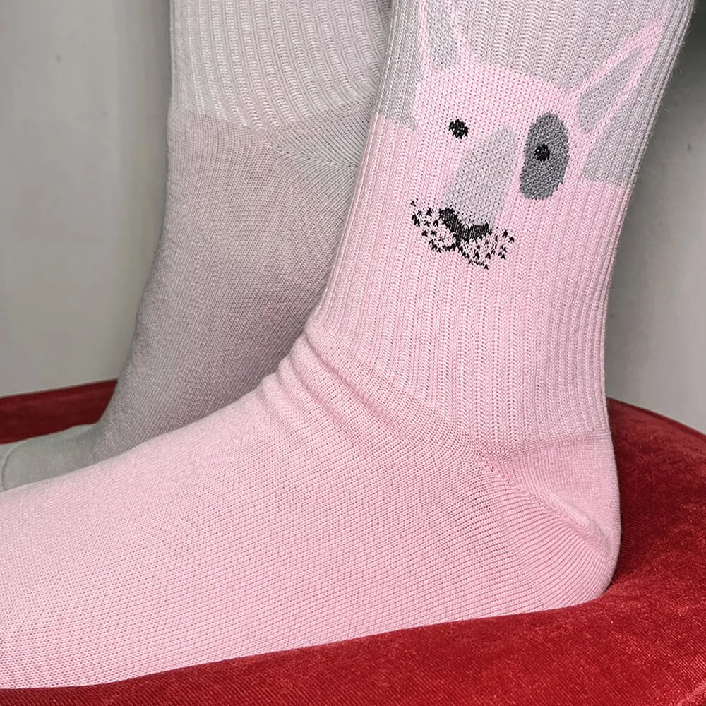 Носки Friend Function Бред Питт Буль 36-40 - фото 7