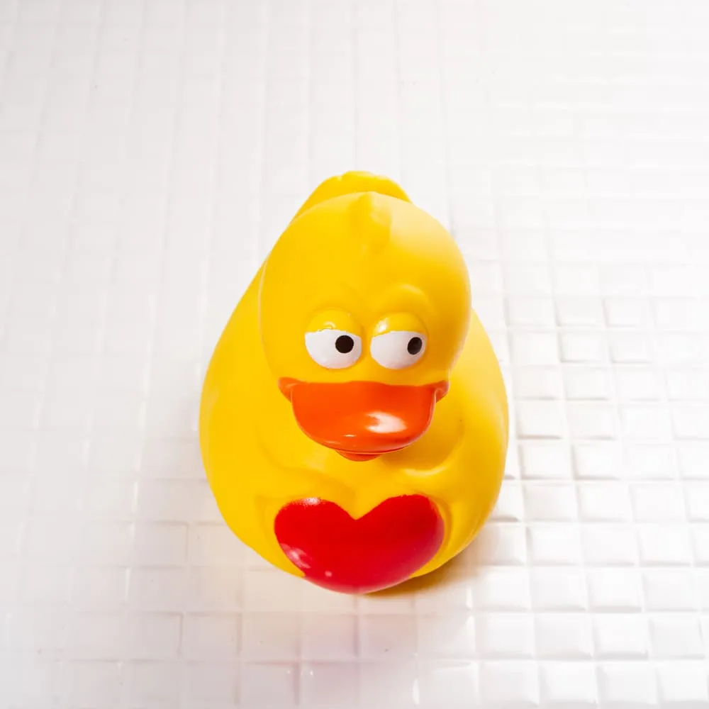 Утка с сердцем - фото 1