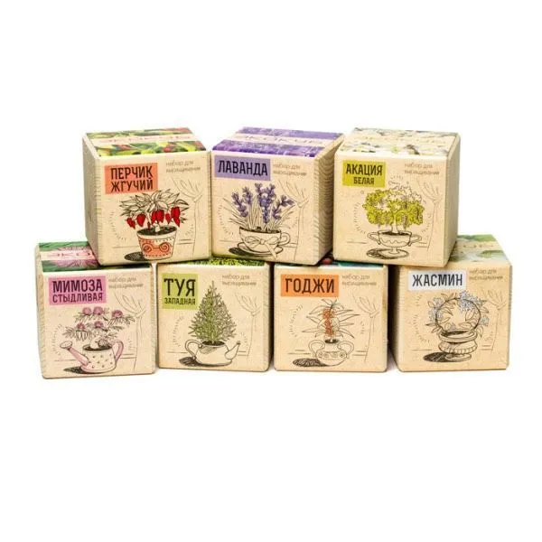 Набор для выращивания Экокуб - фото 3