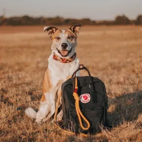 Рюкзак Fjallraven Kanken MINI Black (550)