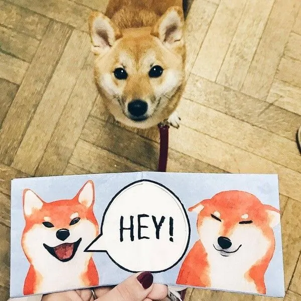 Кошелек New Wallet Sibainu - фото 2