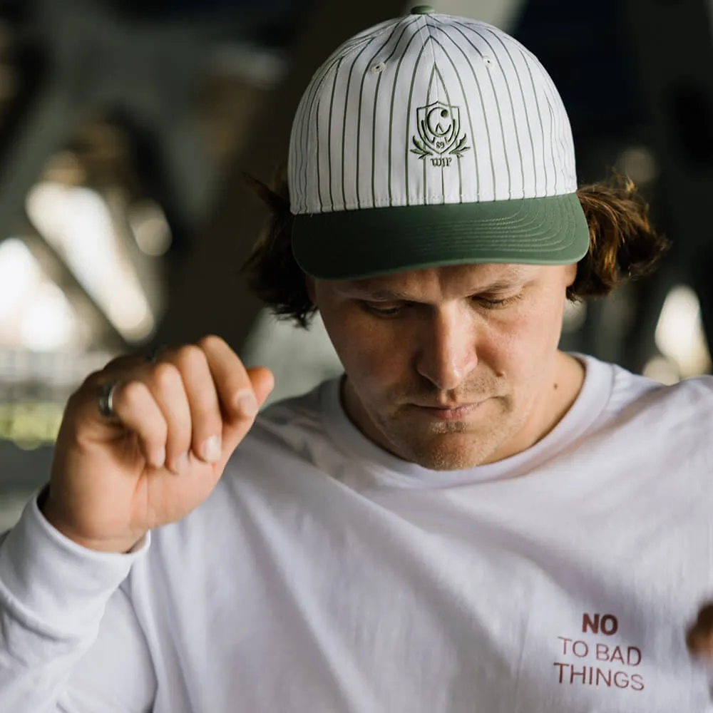 Кепка Carhartt WIP Linus Stripe Park White - фото 5