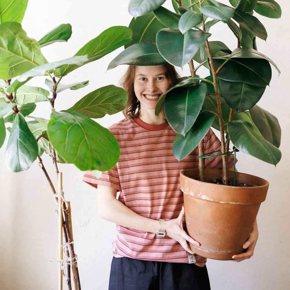 Футболка Меч BASIC STRIPES Rose/Wine - фото 9