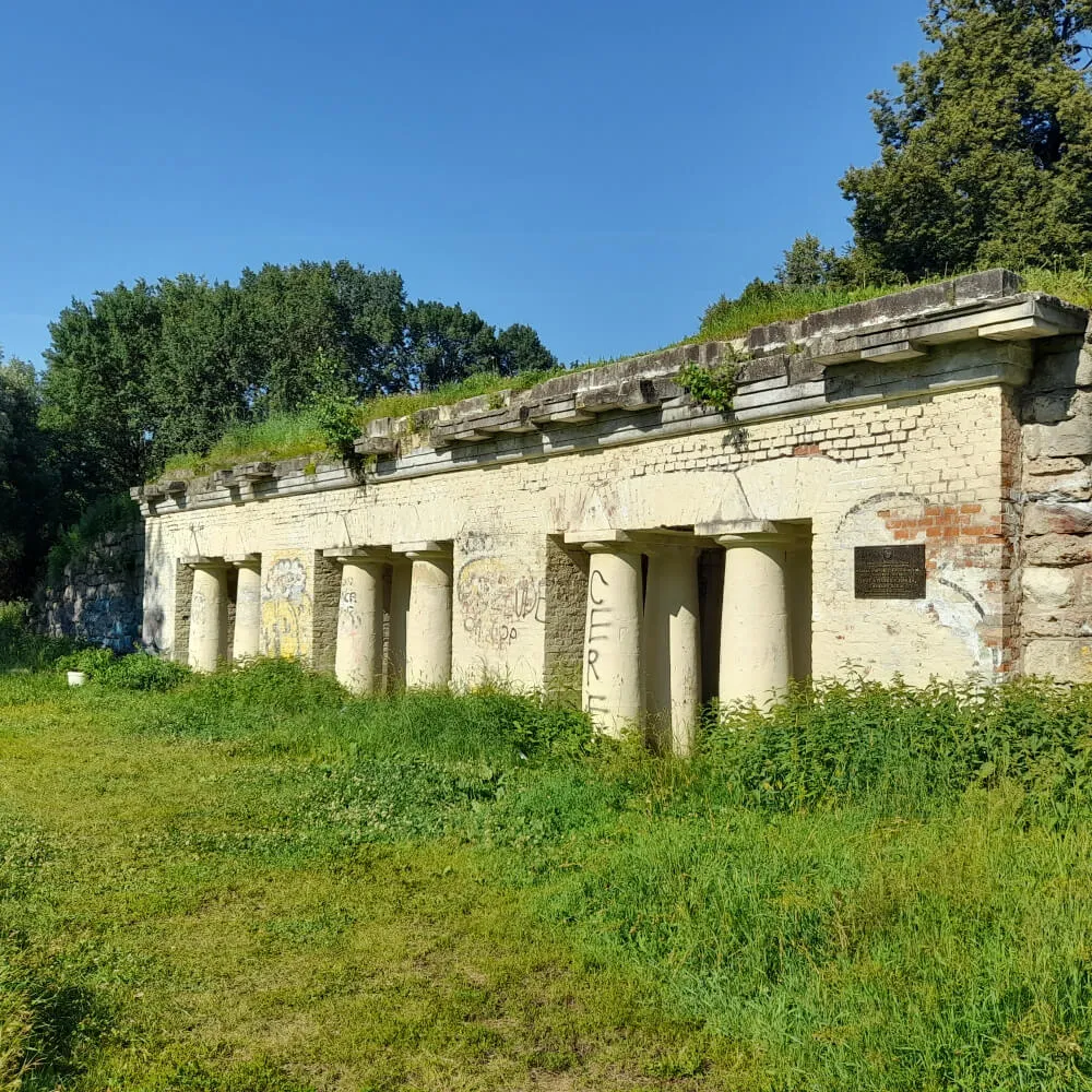 Образовательная прогулка "Тимирязевская академия и дендросад имени Р.И. Шредера", Москва 22 сентября - фото 4