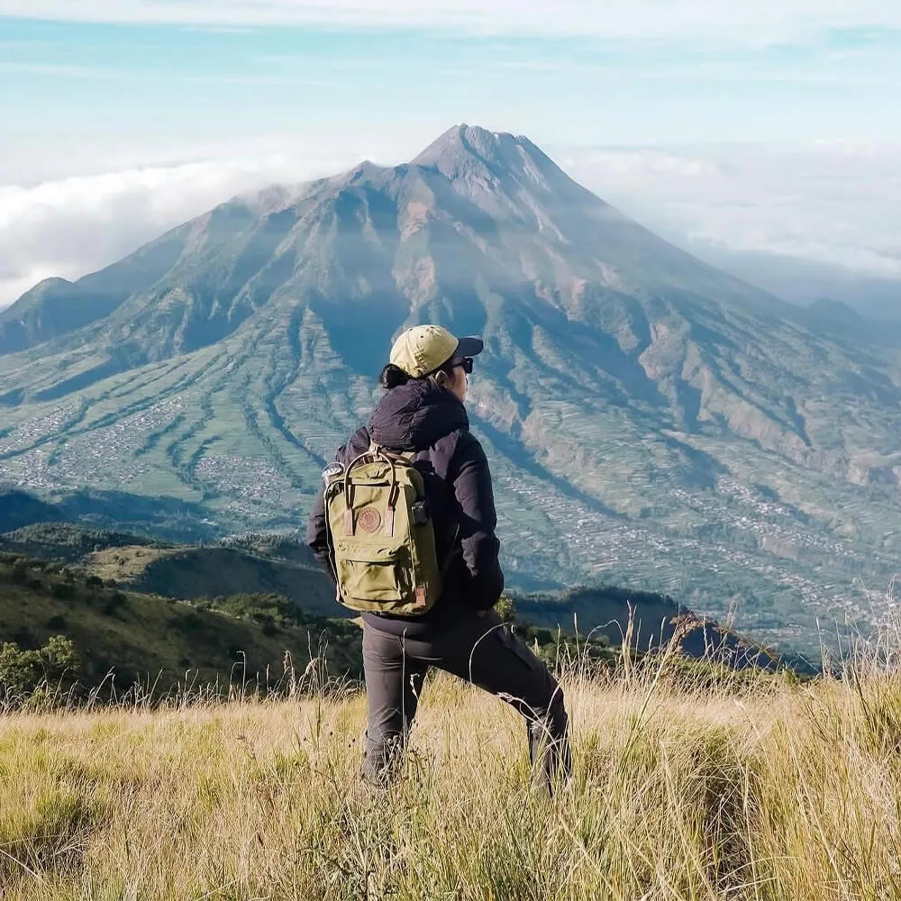 Рюкзак Fjallraven Kanken No2 Laptop 15 Foliage Green (631) - фото 4