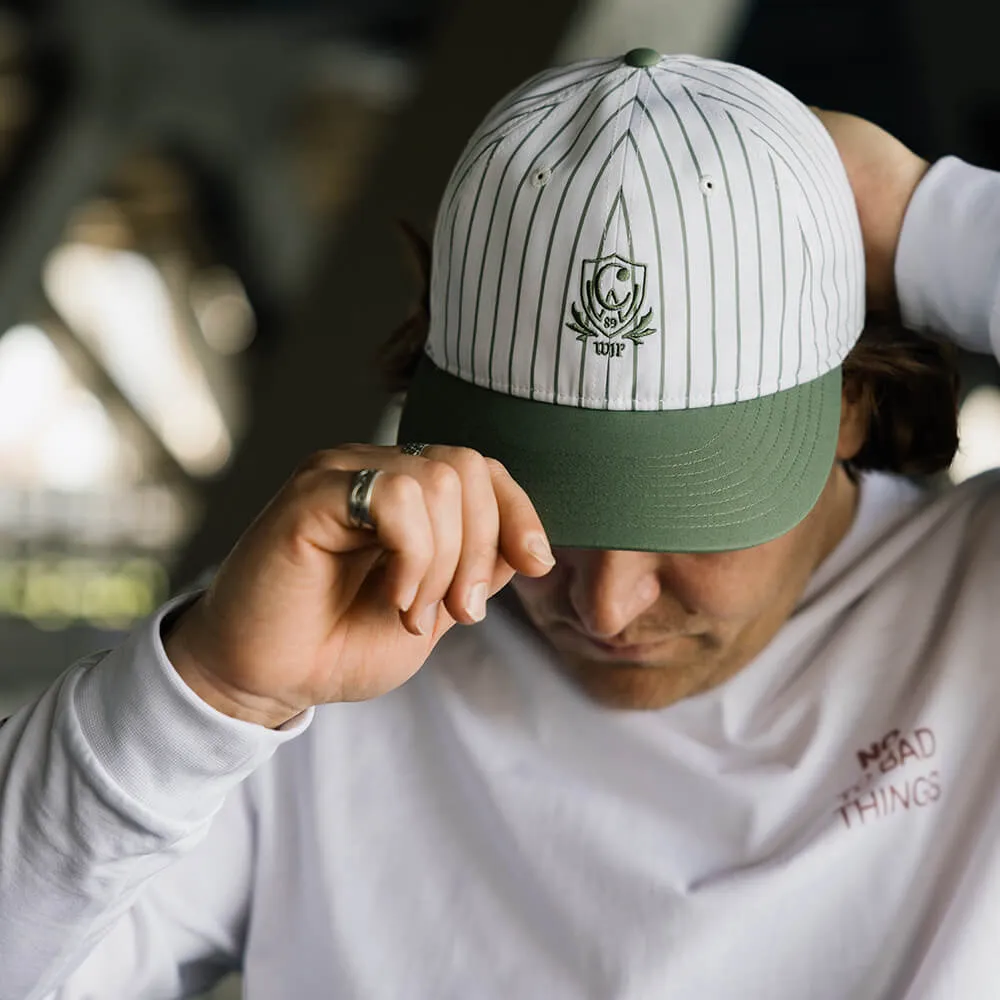 Кепка Carhartt WIP Linus Stripe Park White - фото 2