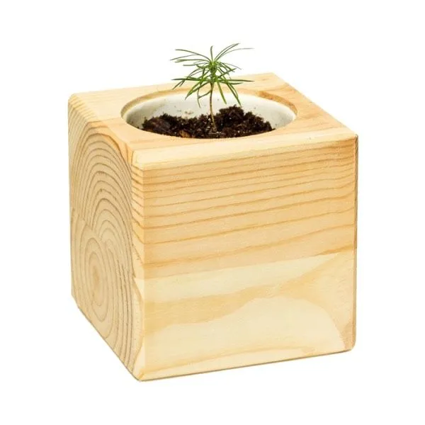 Набор для выращивания Экокуб - фото 11