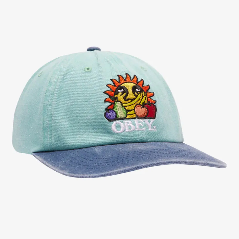 Кепка Obey Pigment Fruits 6 Panel Snapback Sea Spray Multi - фото 1