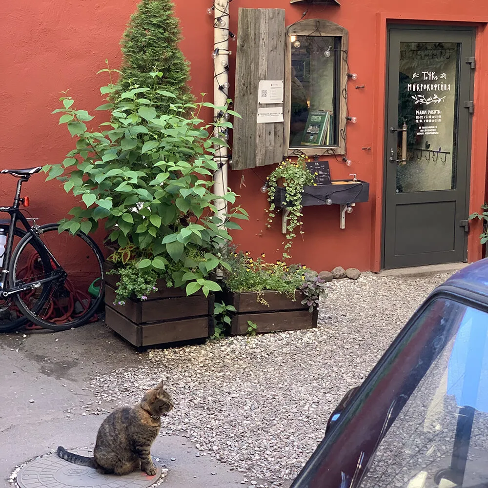 Экскурсия Петроградский кофейник: гостеприимство и спешелти-кофейни Петроградской стороны, 22 марта - фото 2