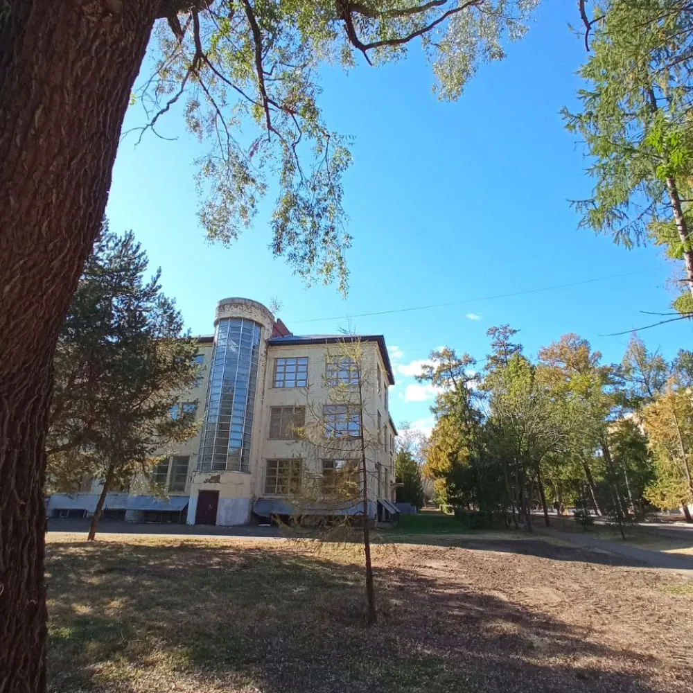 Образовательная прогулка "Тимирязевская академия и дендросад имени Р.И. Шредера", Москва 3 ноября - фото 13