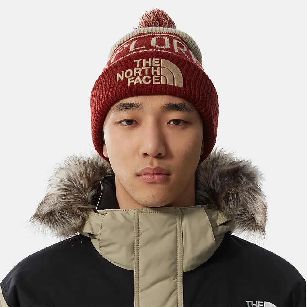 Шапка The North Face Retro Bom Beane brick house red-flax - фото 5