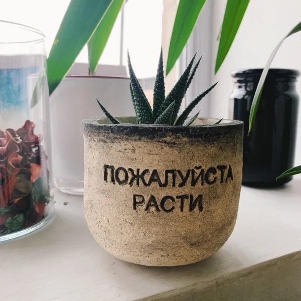 Керамический горшок Пожалуйста расти - фото 6
