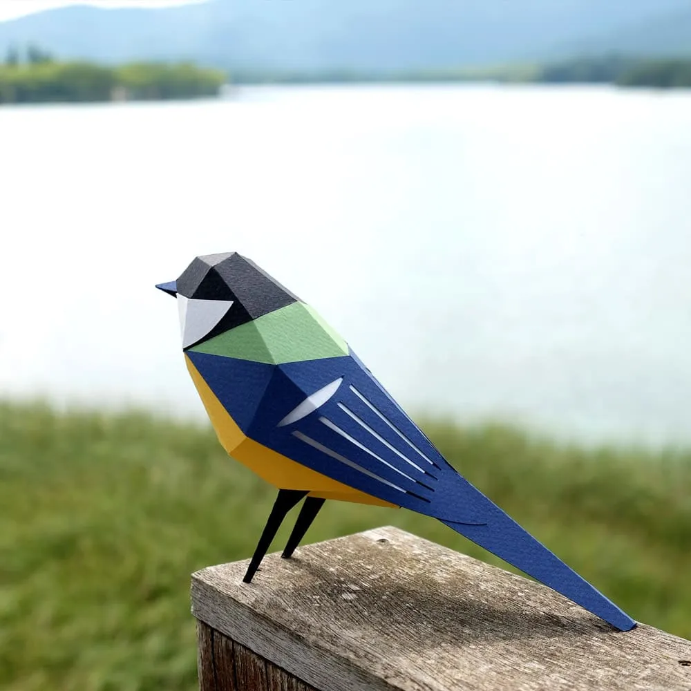 Бумажная модель для сборки Plego Art Parus major (синица) - фото 4