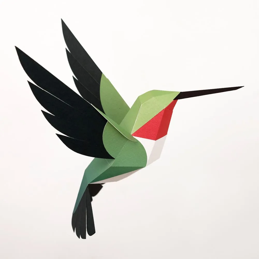 Бумажная модель для сборки Plego Art Selasphorus platycercus (колибри) - фото 6