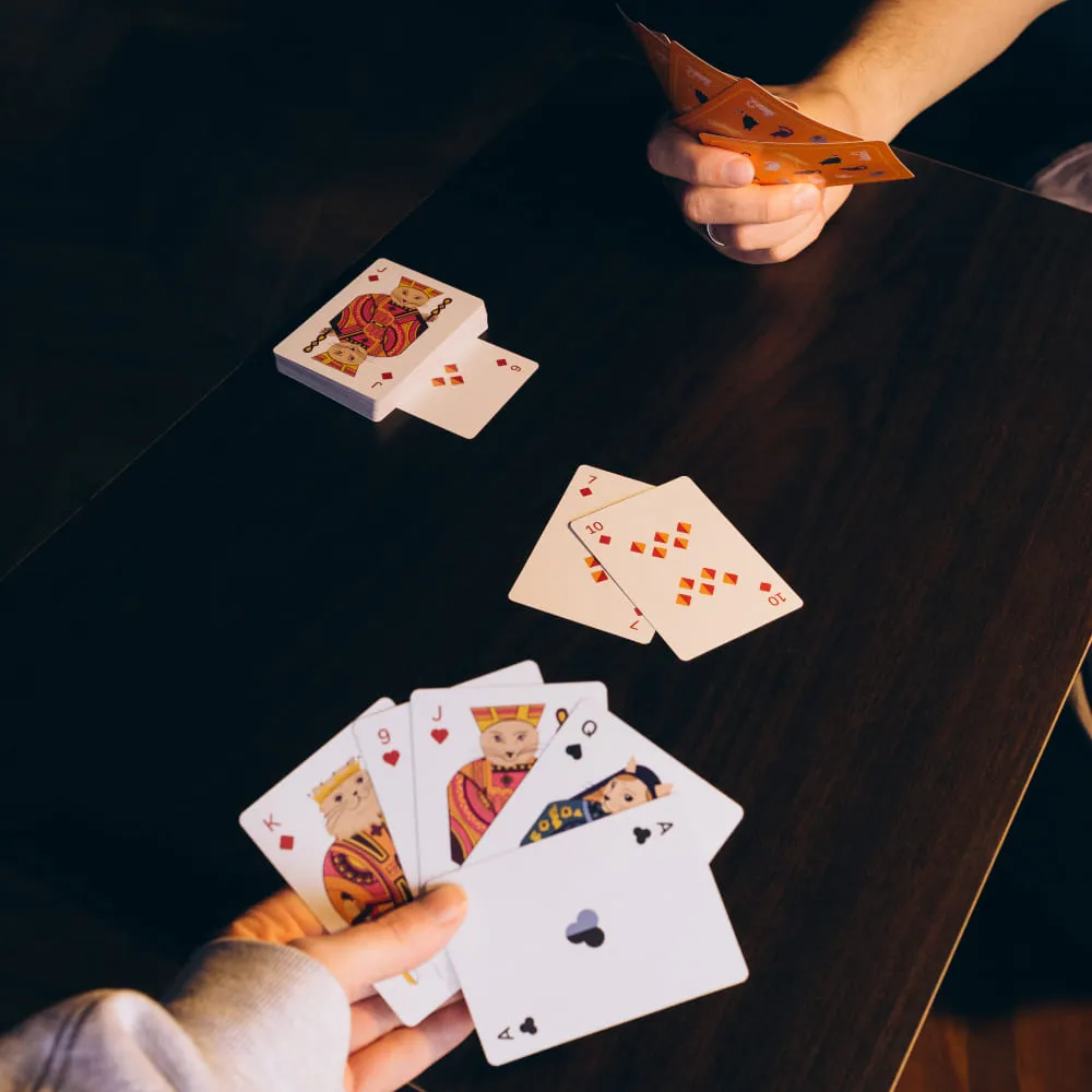 Игральные карты для любителя кошек Friend Function - фото 7