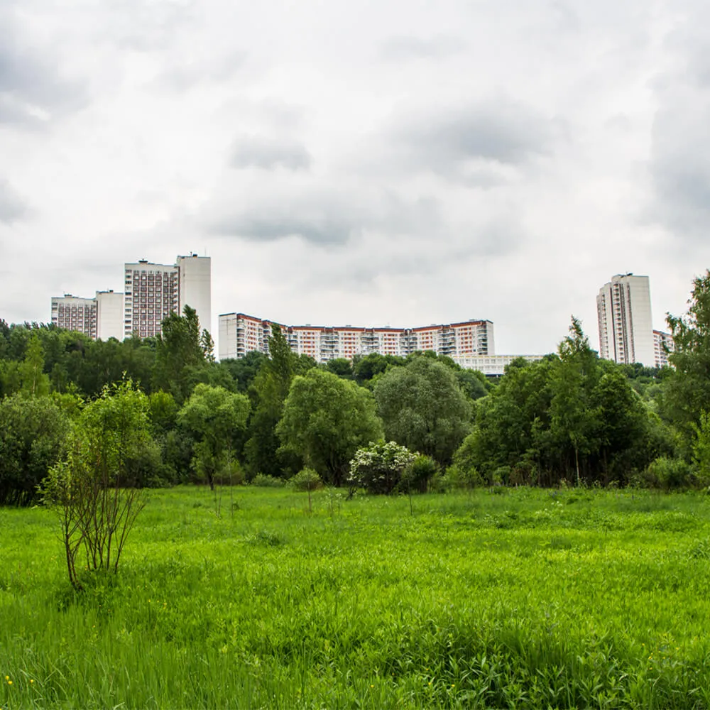 Экскурсия на ретро-автобусе «Многоликое Тушино», 15 июня - фото 9