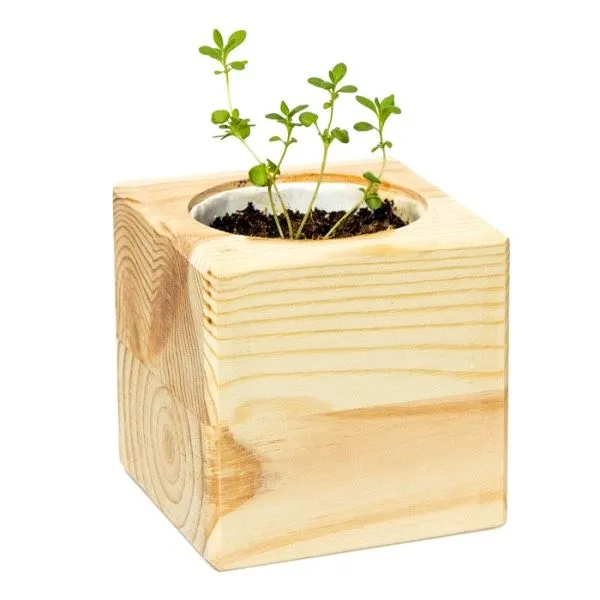 Набор для выращивания Экокуб - фото 4