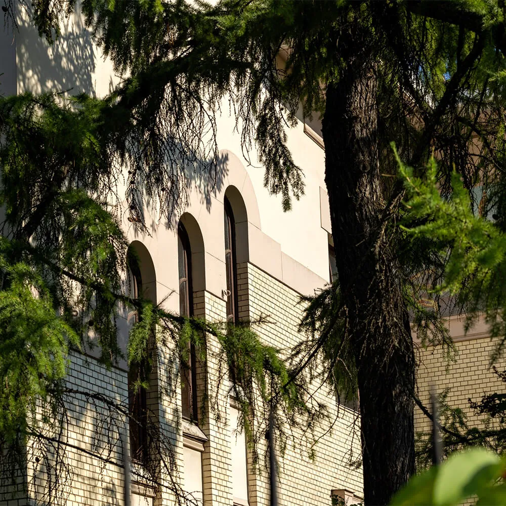 Экскурсия в особняк Рябушинского, Москва 21 января - фото 8