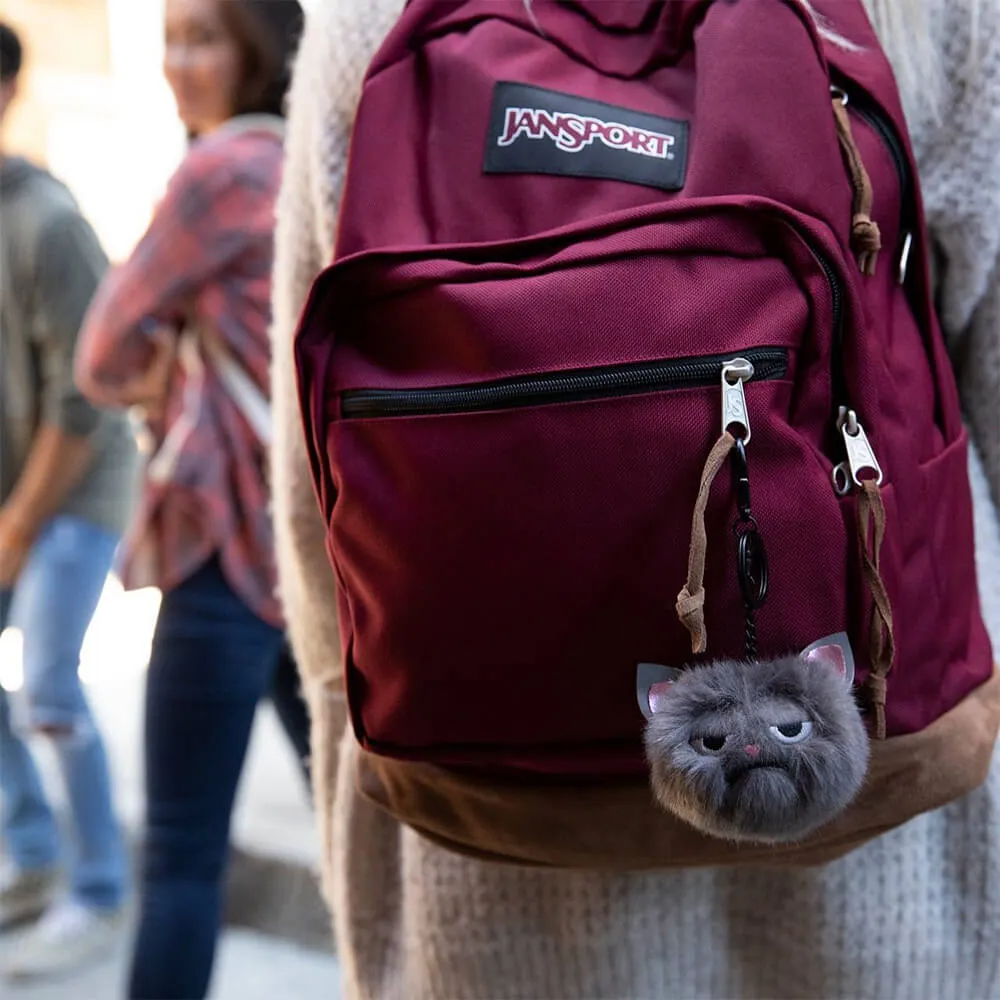 Рюкзак Jansport Right Pack Russet Red - фото 2