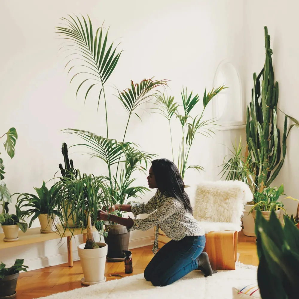 Книга The World's Best Shops - фото 10