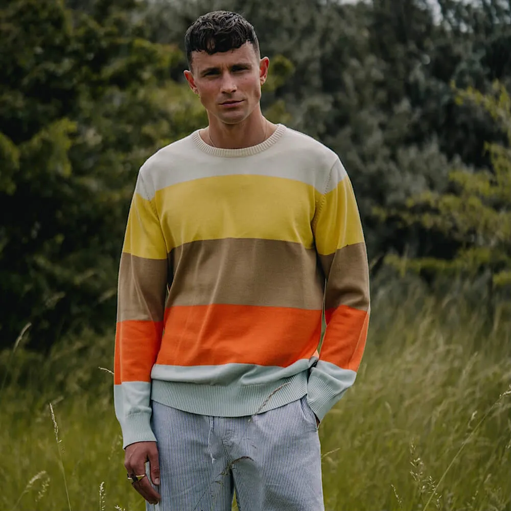 Свитер Dedicated Mora Stripe Multi Color мужской - фото 2