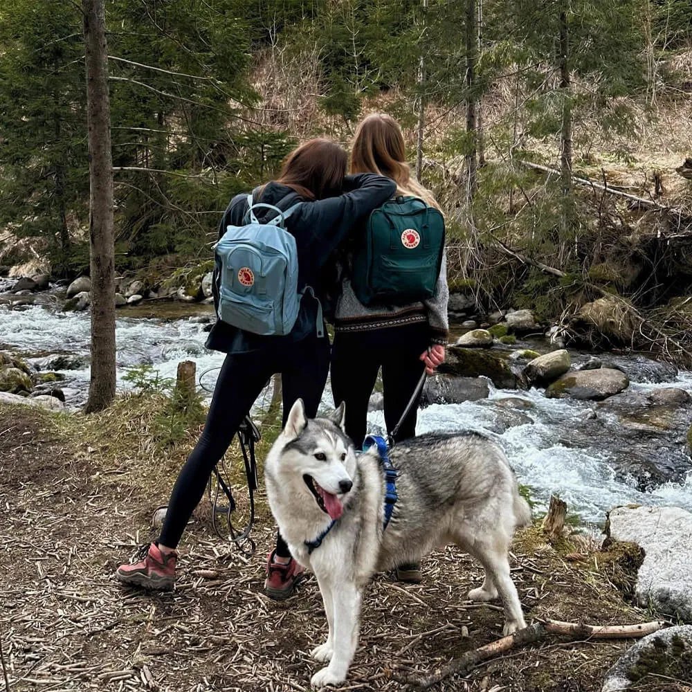 Рюкзак Fjallraven Kanken Arctic Green (667) - фото 8
